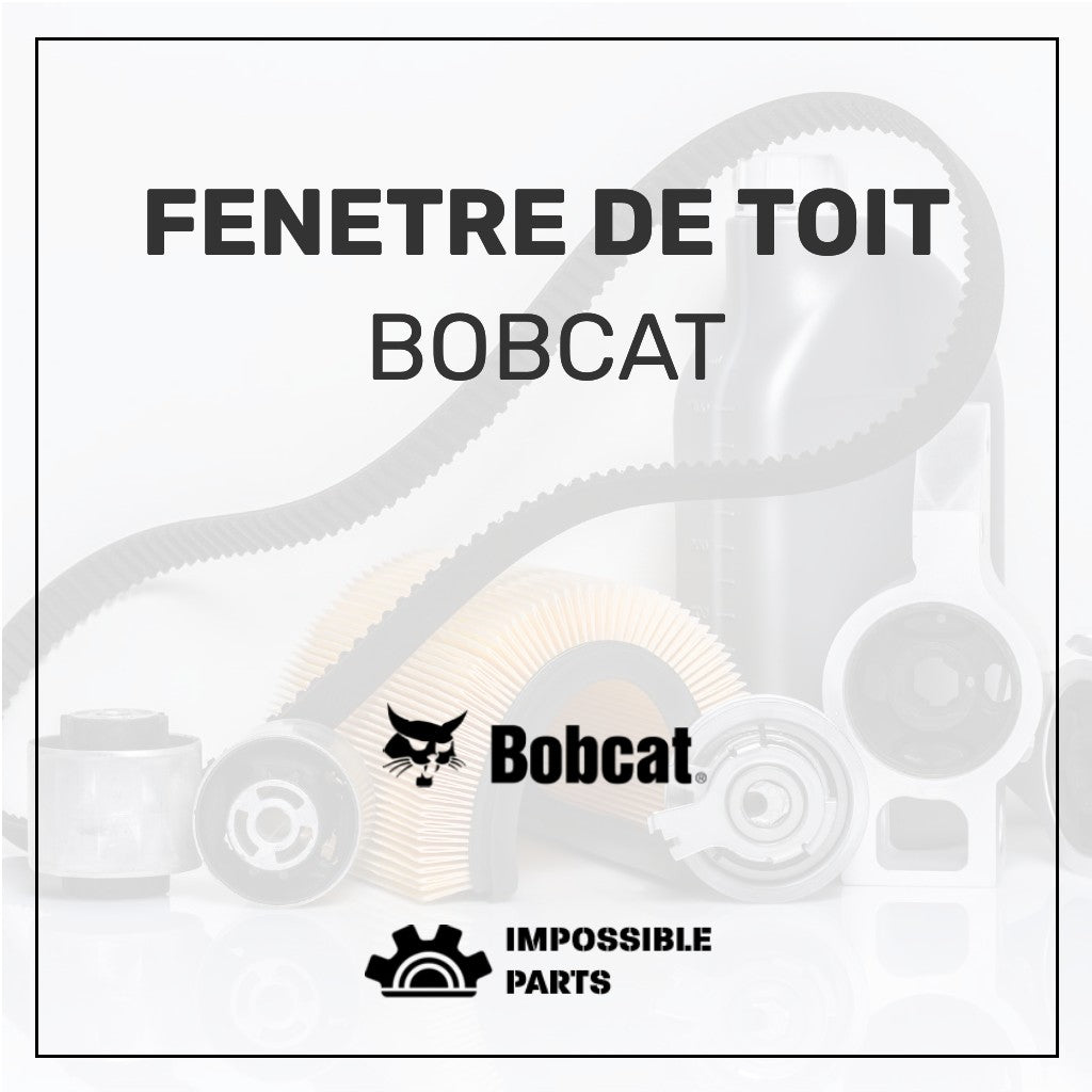 FENETRE DE TOIT , 6811918