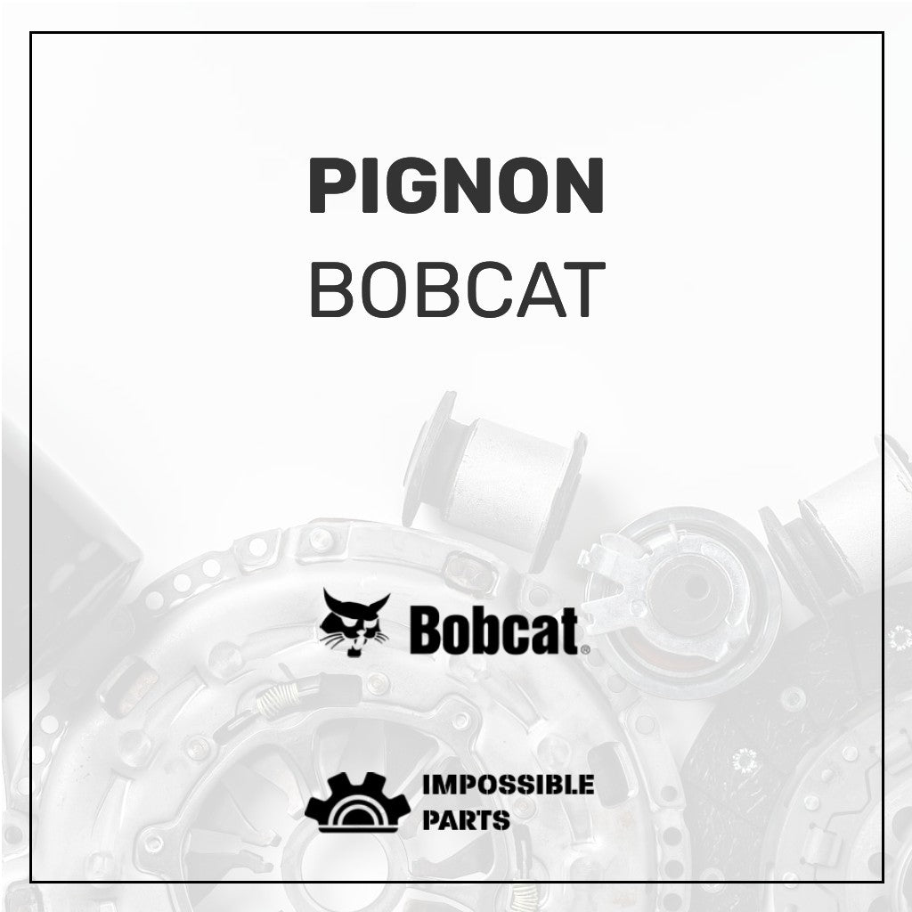 Pignon 6594497