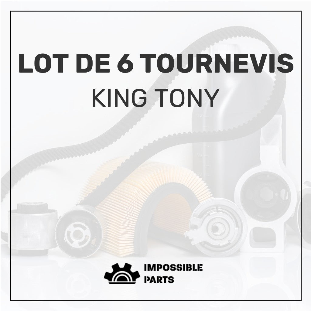 LOT DE 6 TOURNEVIS - 30206MR