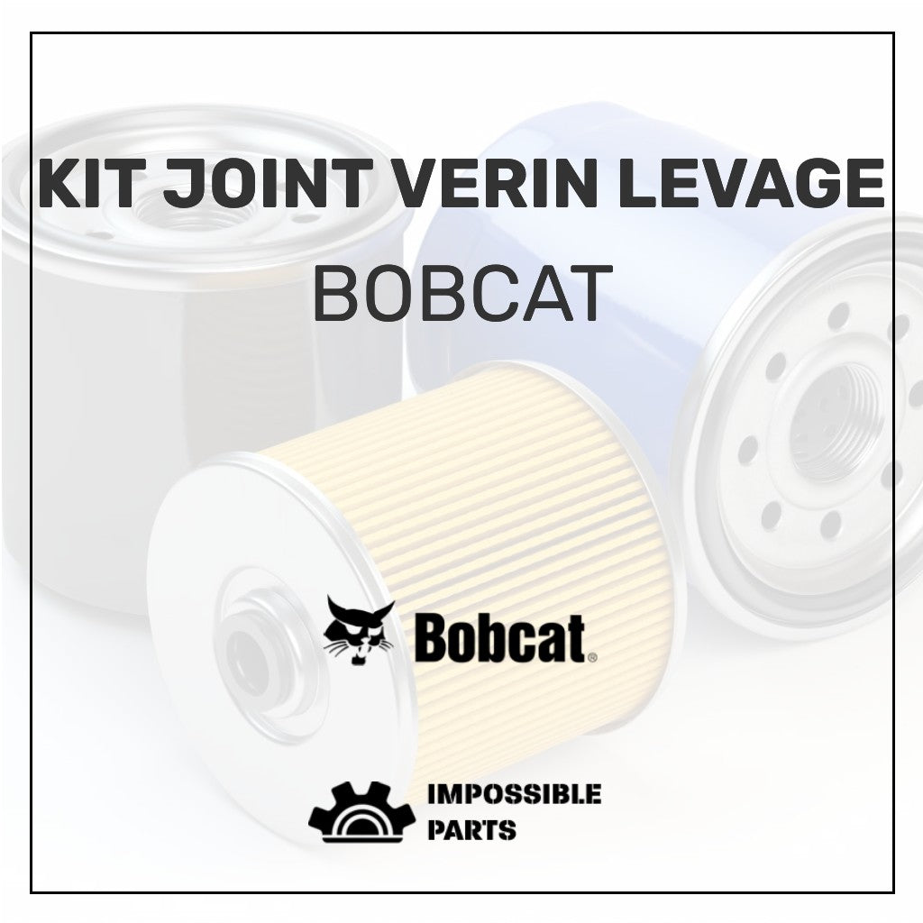 KIT JOINT VERIN LEVAGE , 6803329
