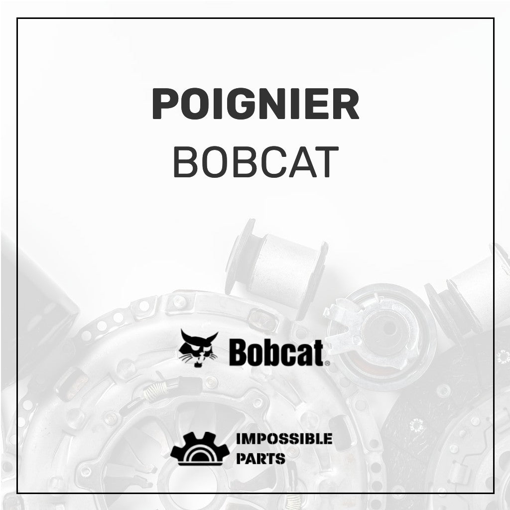 POIGNIER , 6680417