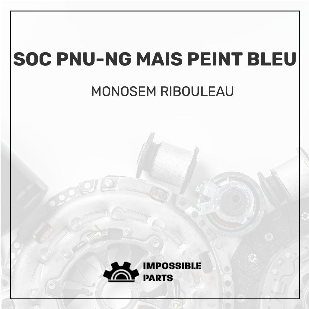 SOC PNU-NG MAIS PEINT BLEU