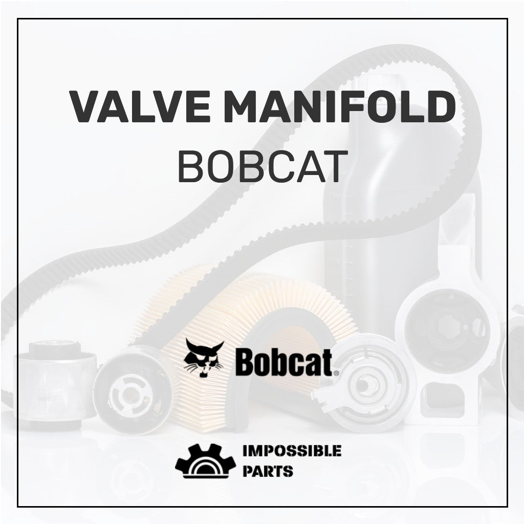 VALVE, MANIFOLD , 7028845