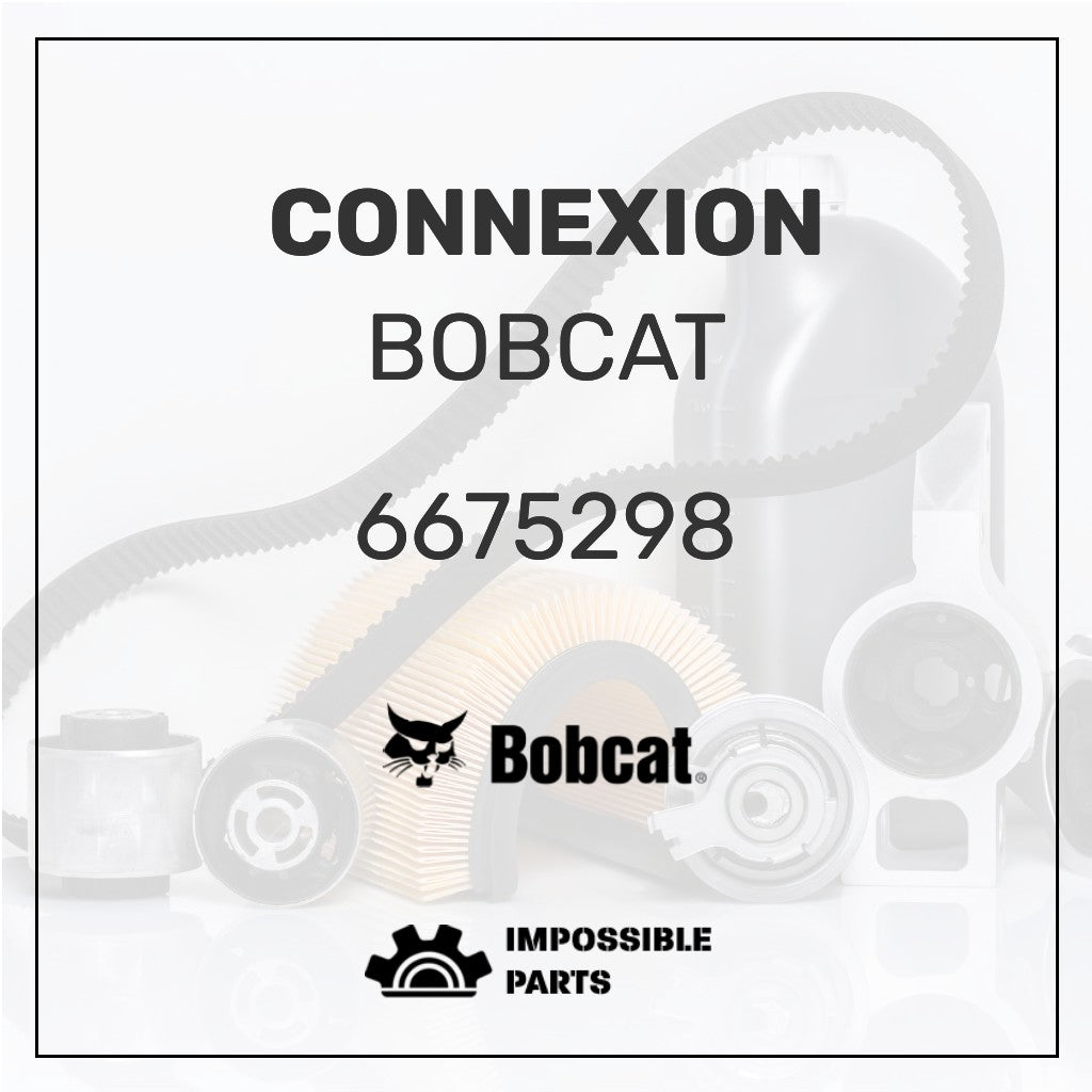6675298