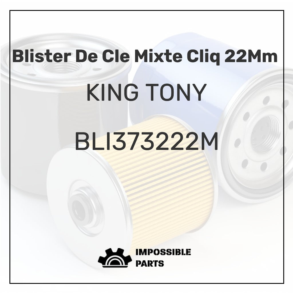 BLI373222M