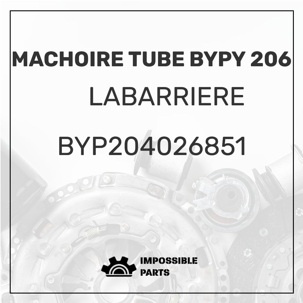BYP204026851