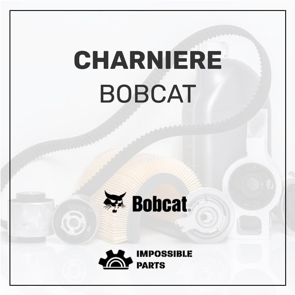CHARNIERE , 6917353