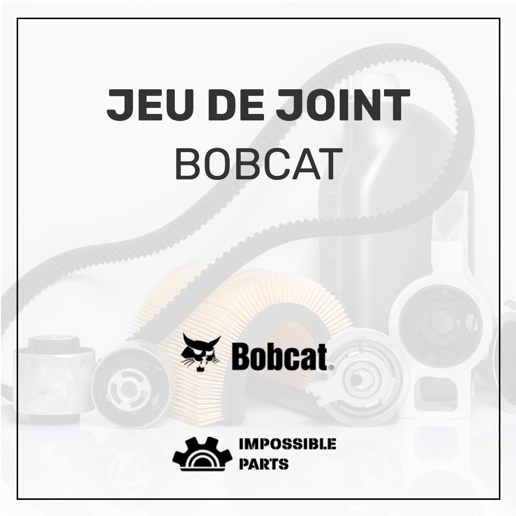 JEU DE JOINT , 6924988