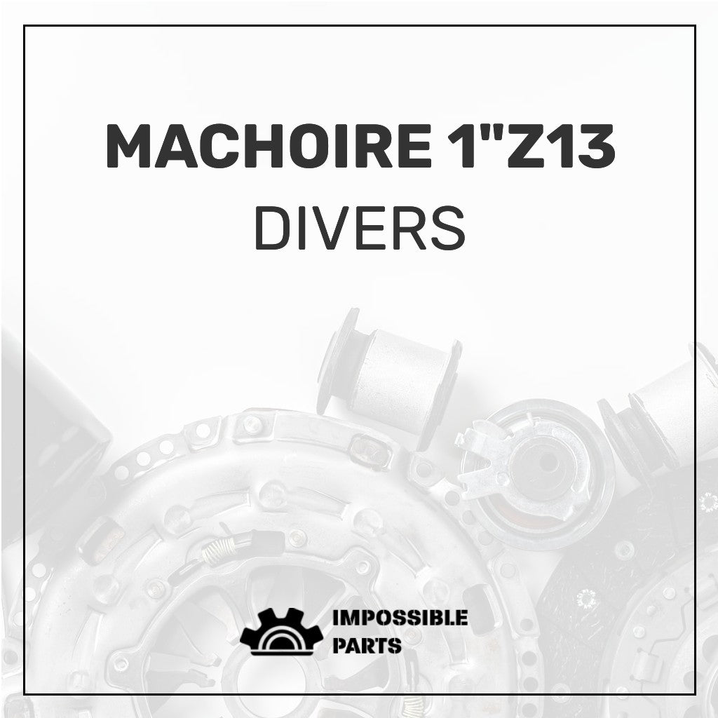 MACHOIRE 1"Z13