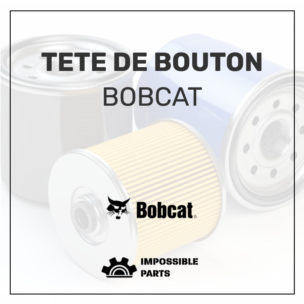 TETE DE BOUTON , 97886.6