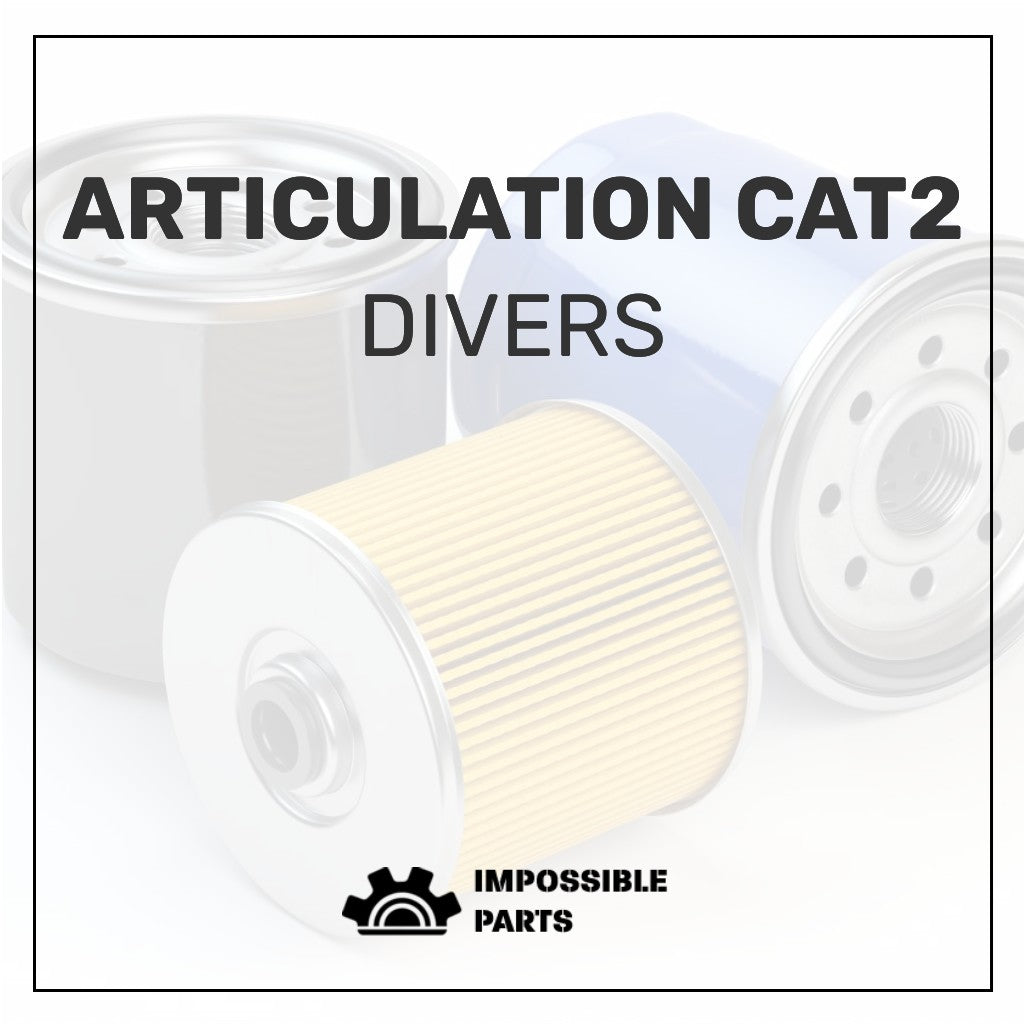 ARTICULATION CAT2