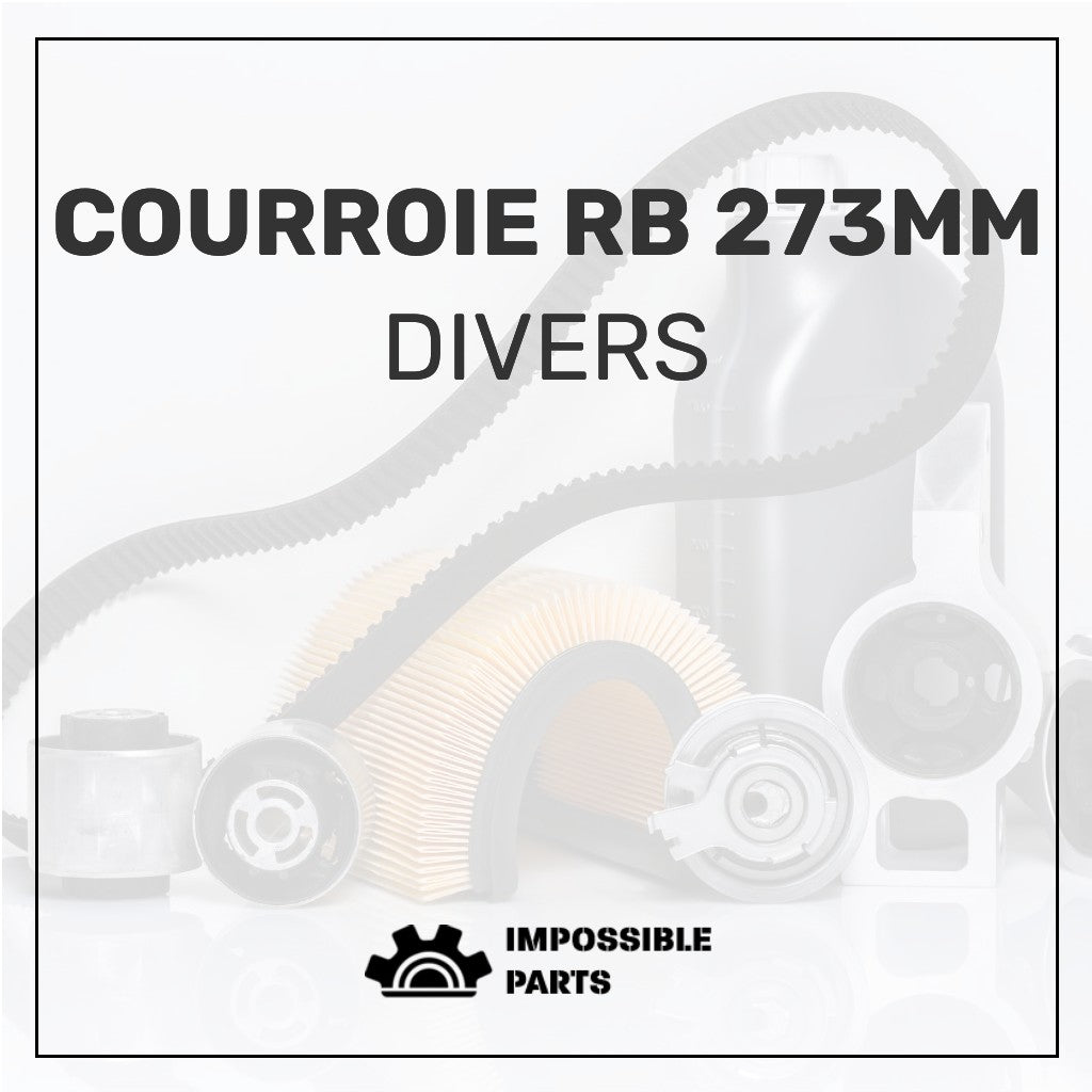 COURROIE RB 273MM