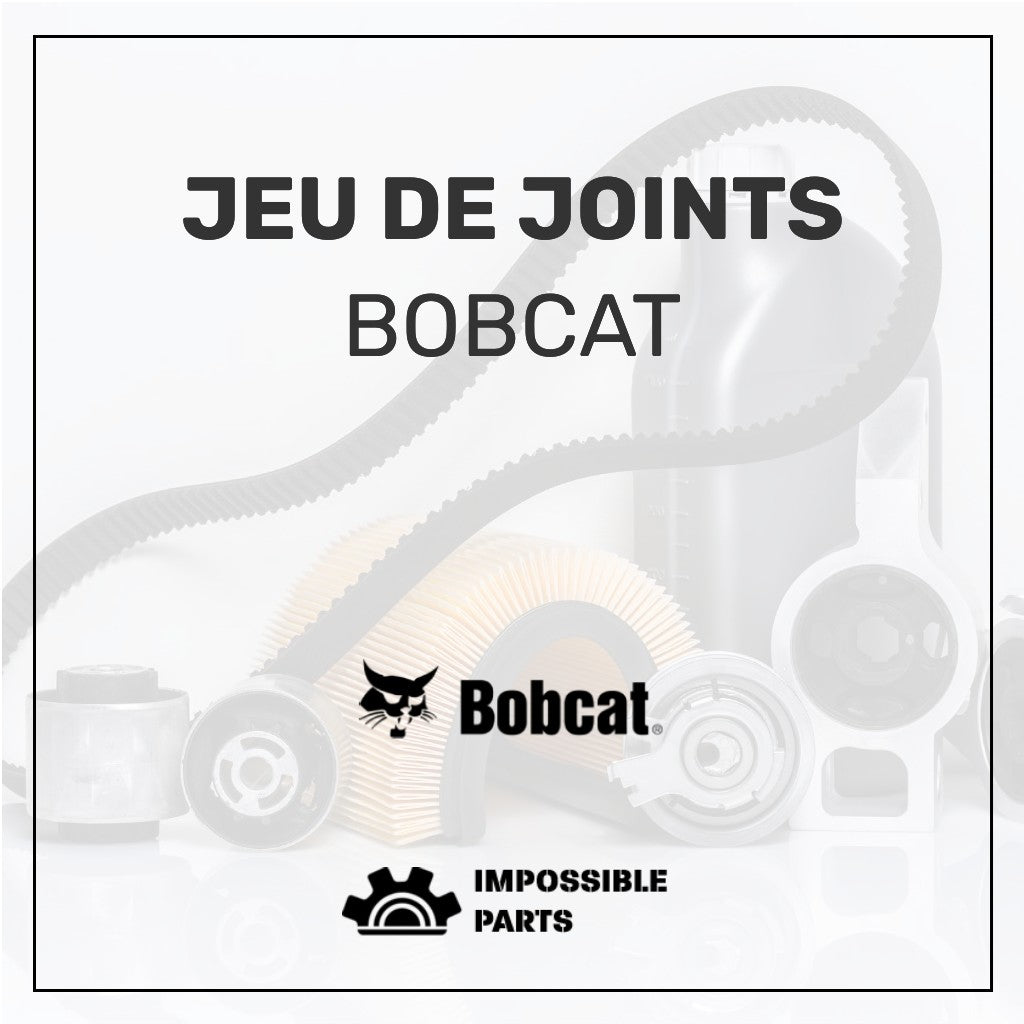 JEU DE JOINTS , 66419.3