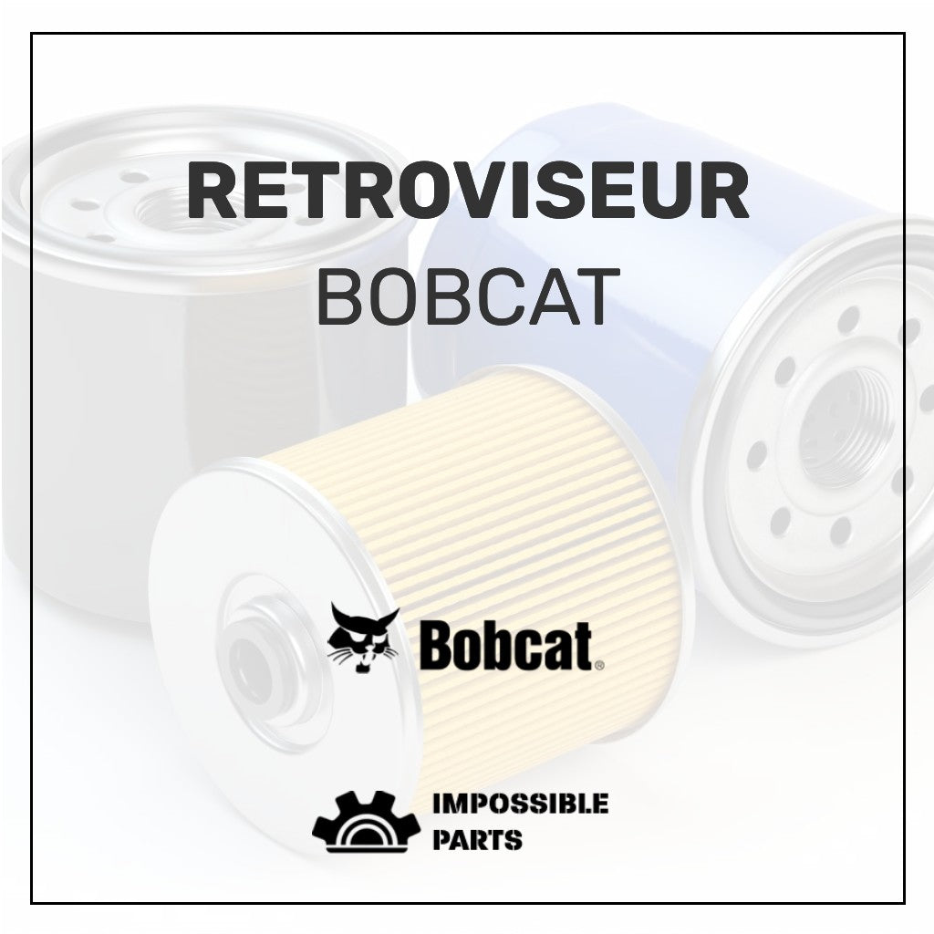 Retroviseur 79903.1