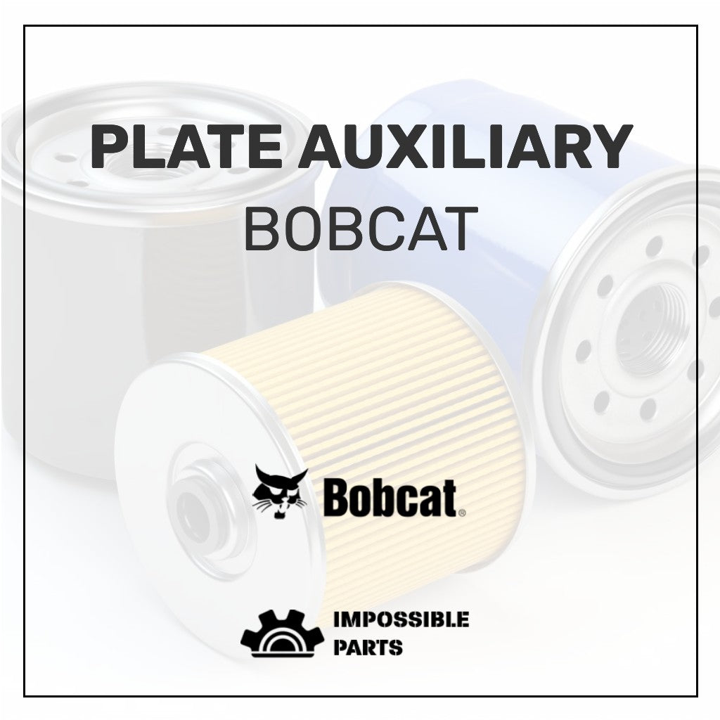 PLATE AUXILIARY , 7326272